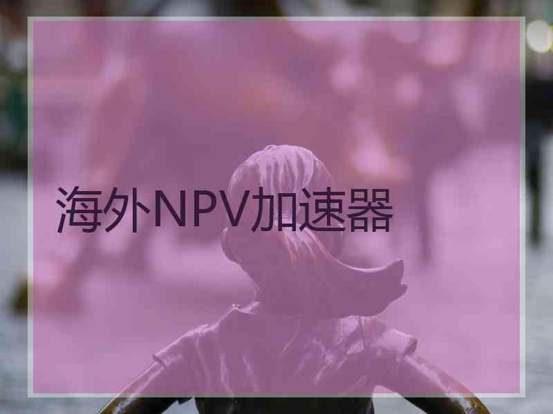 海外NPV加速器