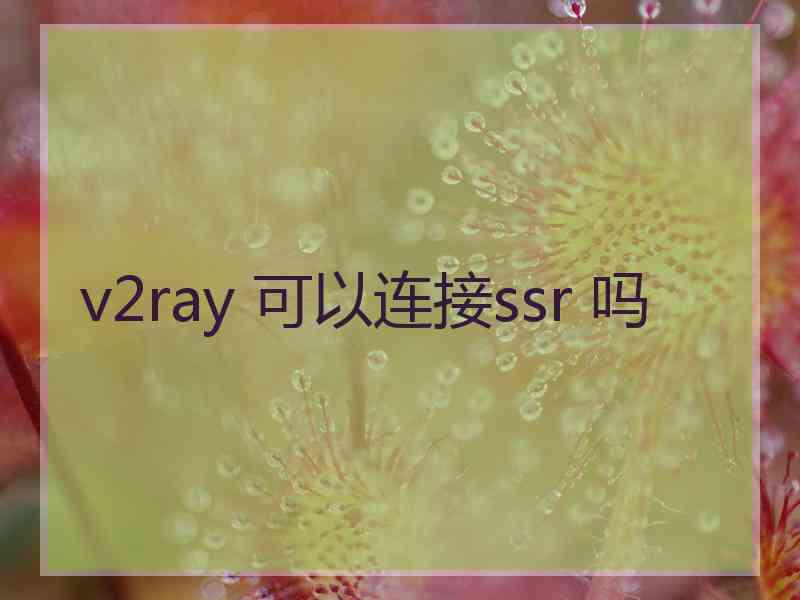 v2ray 可以连接ssr 吗