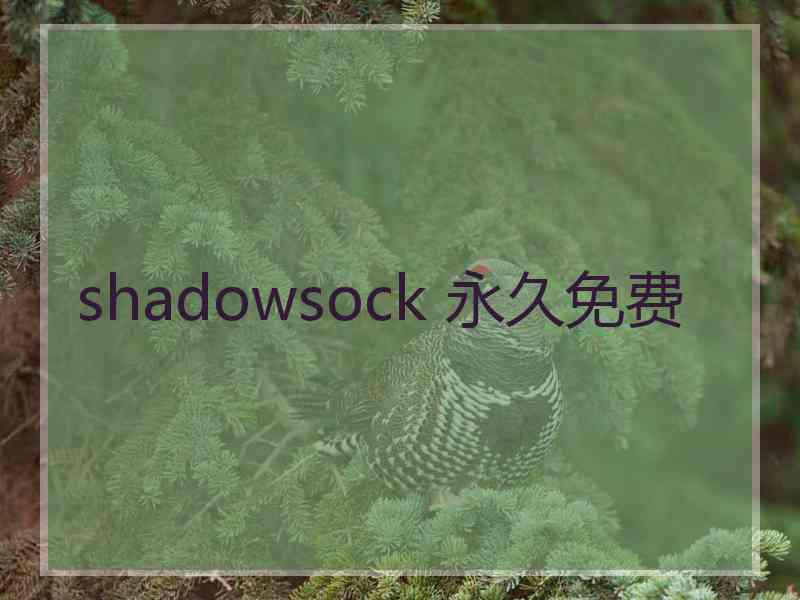 shadowsock 永久免费