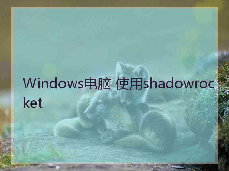 Windows电脑 使用shadowrocket