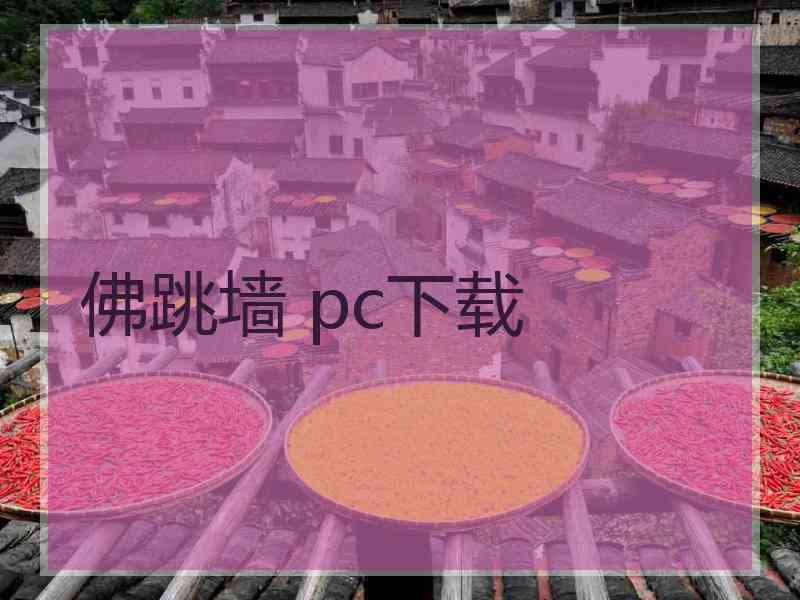 佛跳墙 pc下载