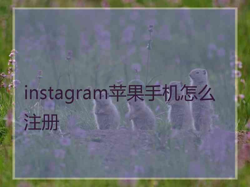 instagram苹果手机怎么注册