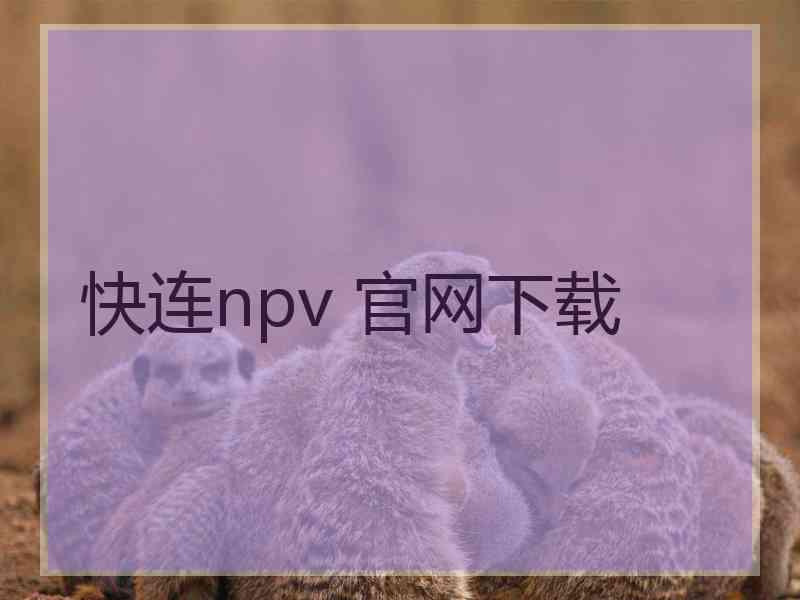 快连npv 官网下载