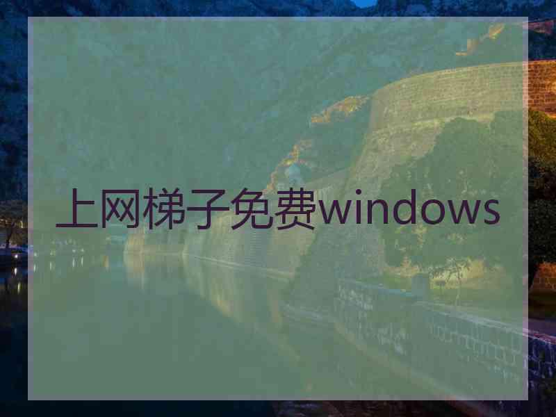 上网梯子免费windows