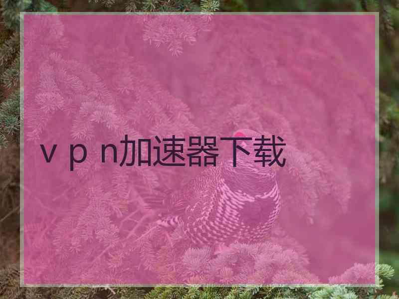 v p n加速器下载