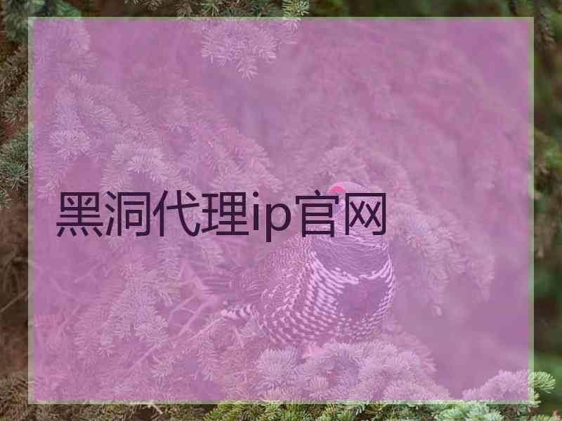 黑洞代理ip官网