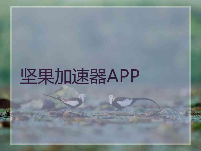 坚果加速器APP