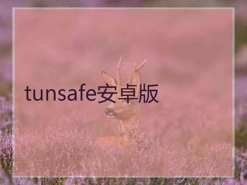 tunsafe安卓版