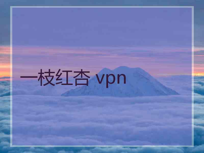 一枝红杏 vpn