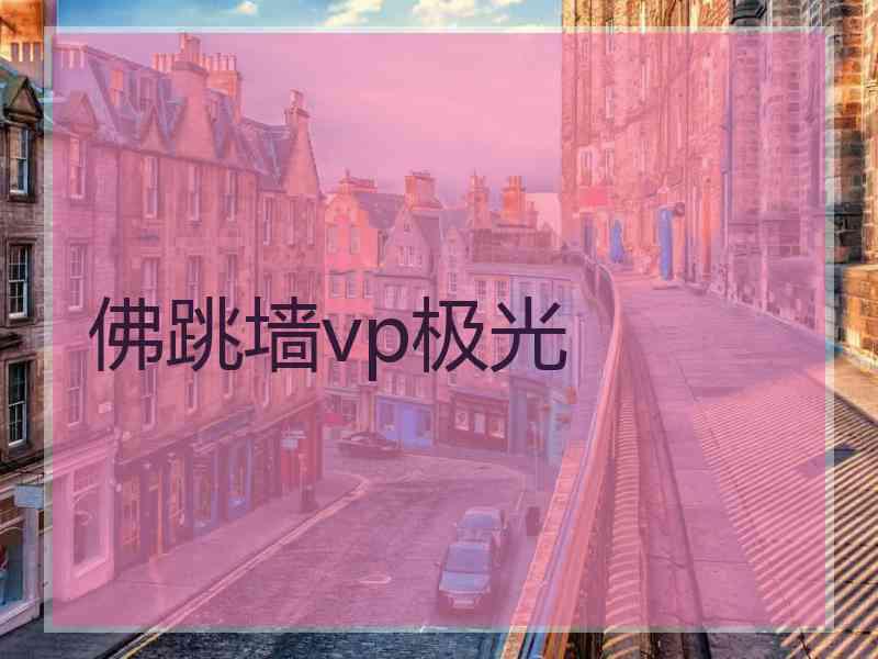 佛跳墙vp极光