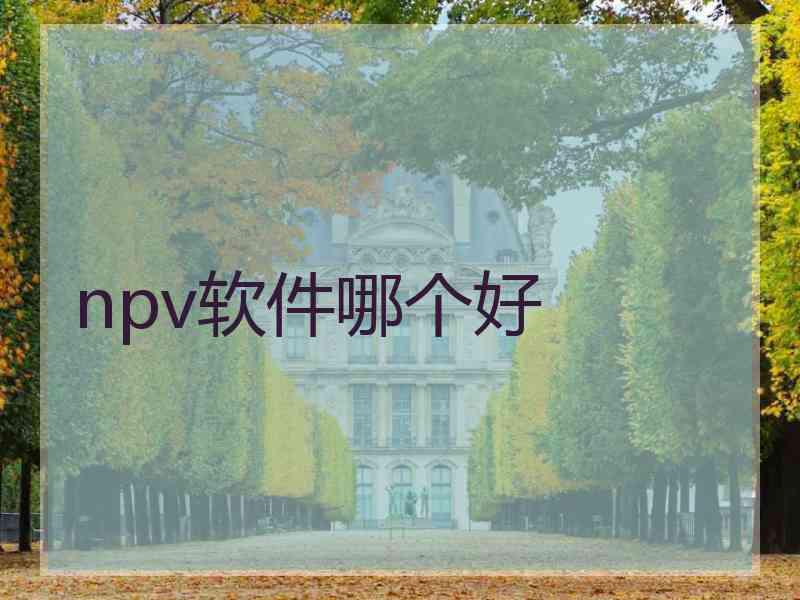 npv软件哪个好