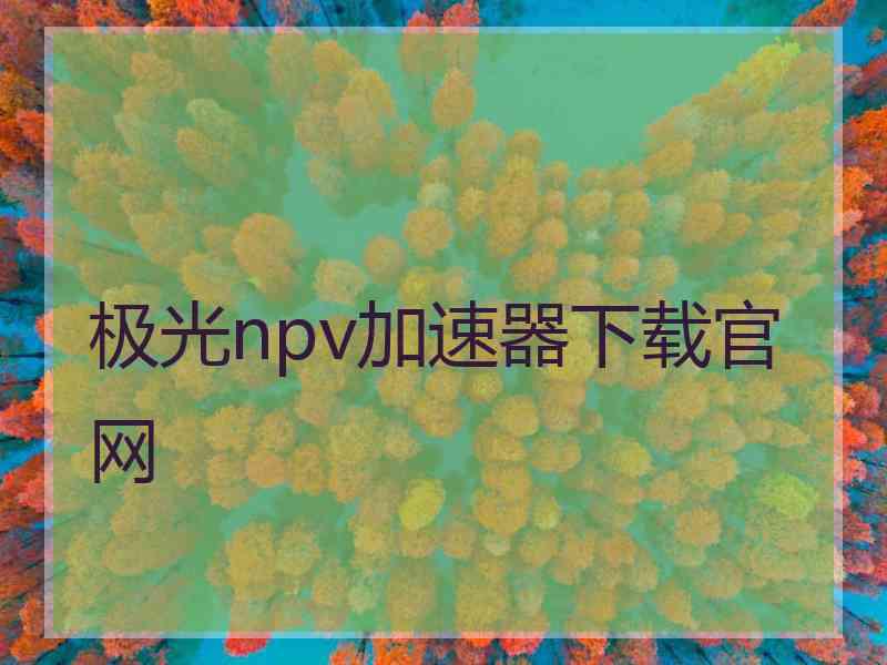 极光npv加速器下载官网