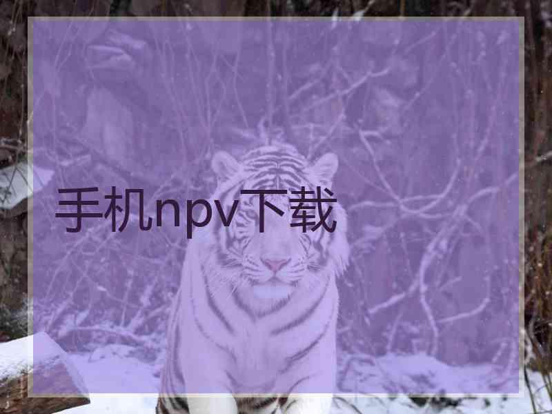 手机npv下载