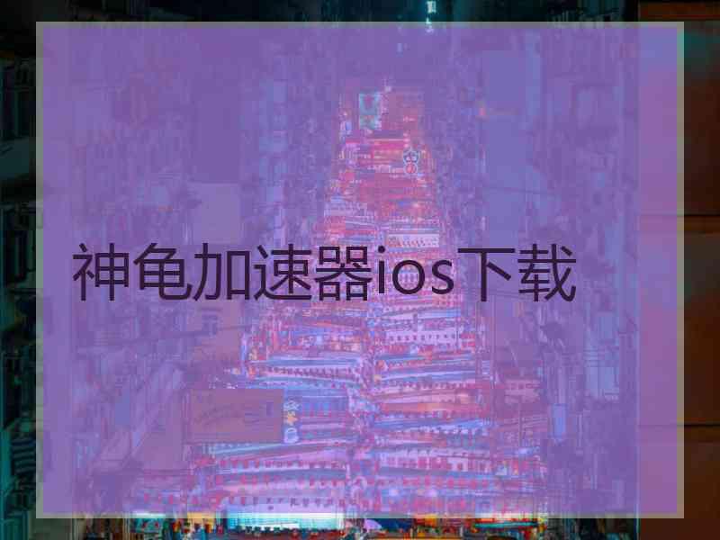 神龟加速器ios下载