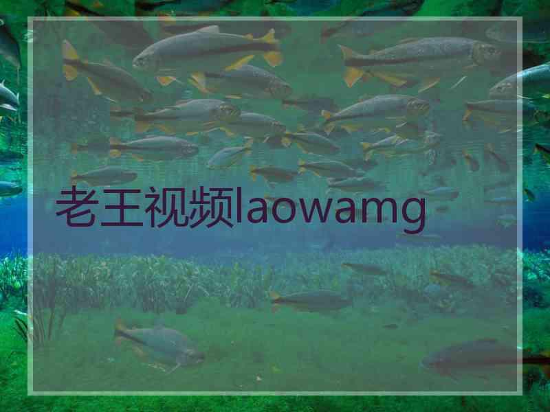 老王视频laowamg