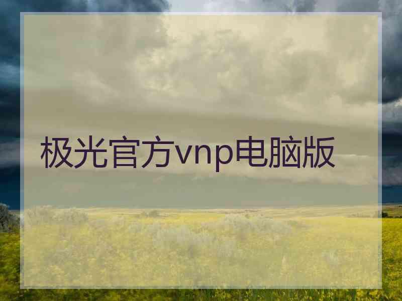 极光官方vnp电脑版