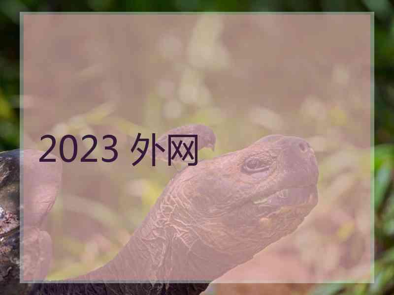 2023 外网