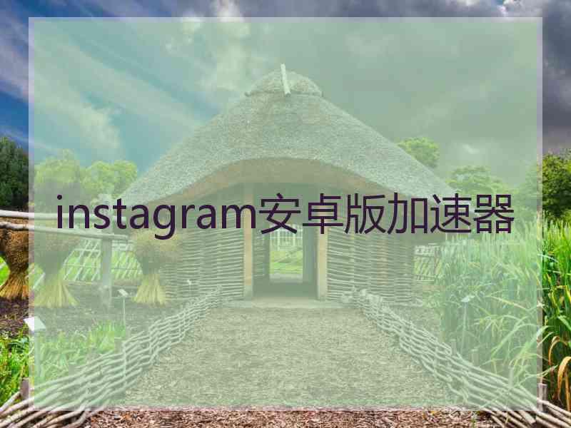 instagram安卓版加速器