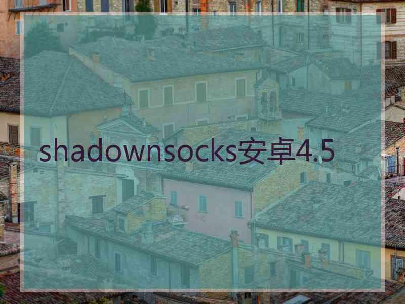 shadownsocks安卓4.5