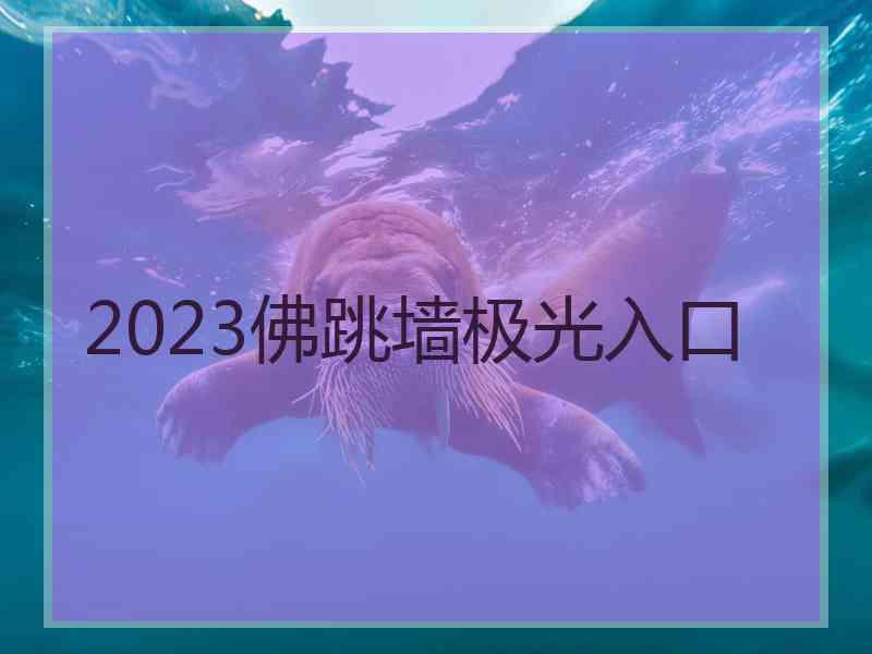 2023佛跳墙极光入口