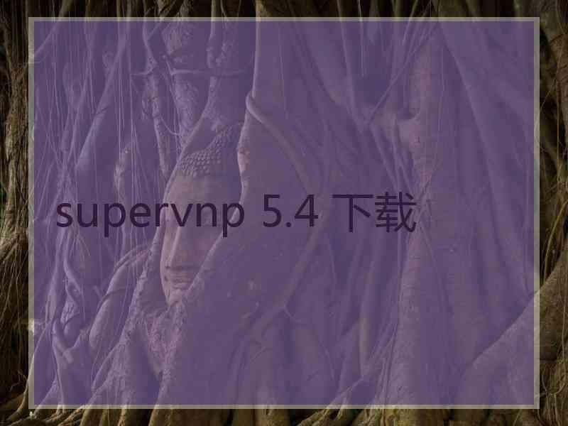 supervnp 5.4 下载