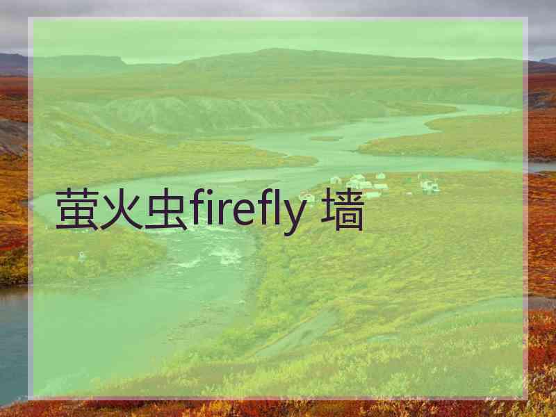 萤火虫firefly 墙