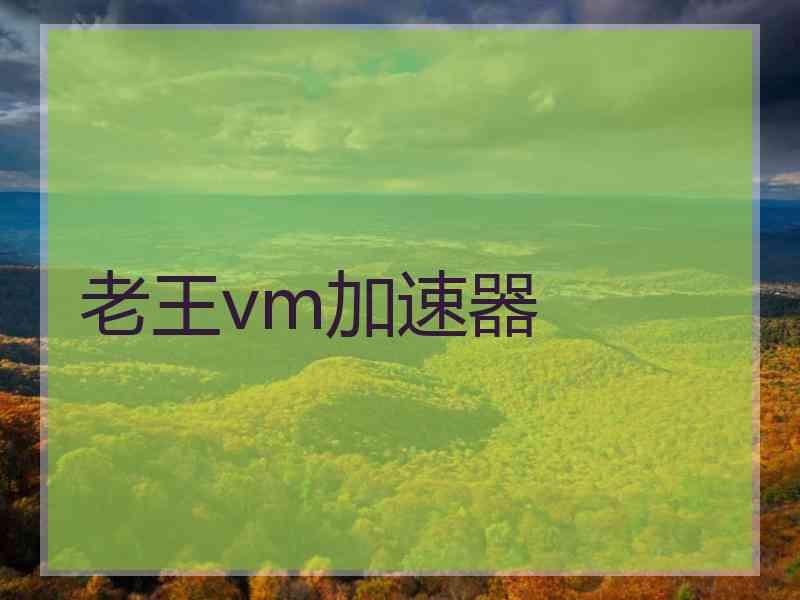 老王vm加速器