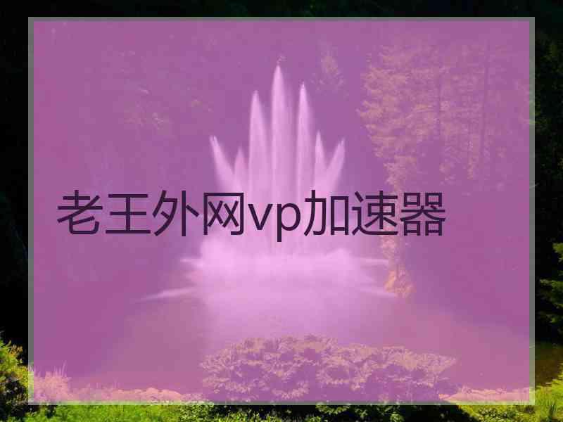 老王外网vp加速器