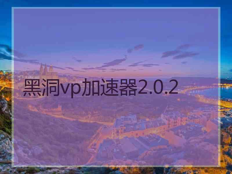 黑洞vp加速器2.0.2