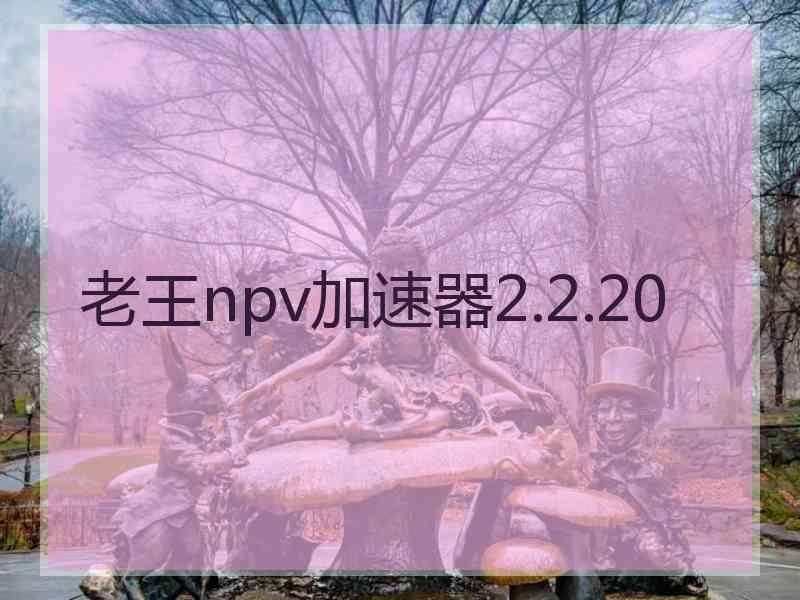 老王npv加速器2.2.20