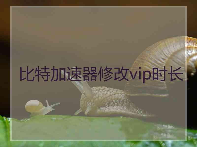 比特加速器修改vip时长