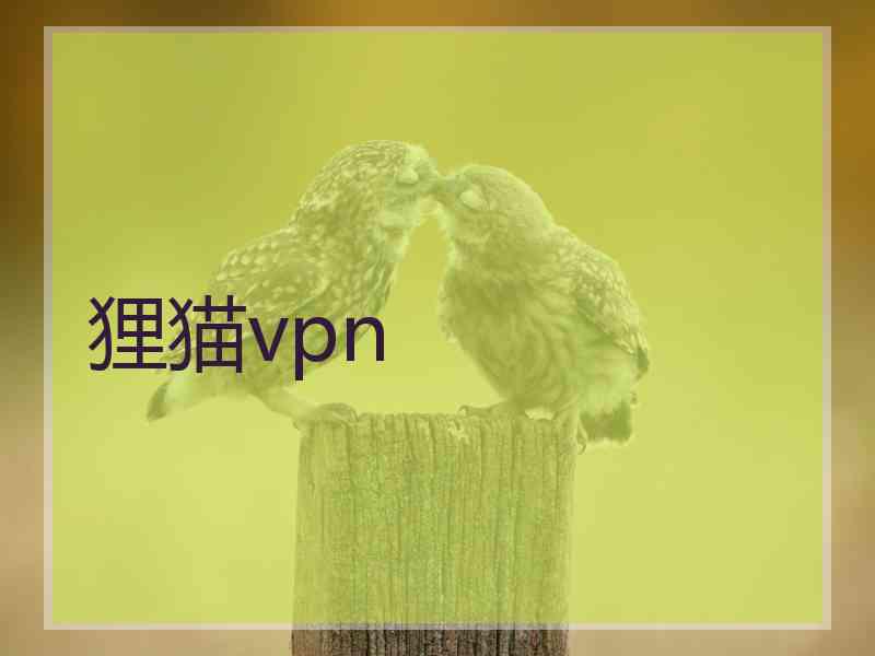 狸猫vpn