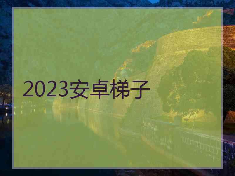 2023安卓梯子