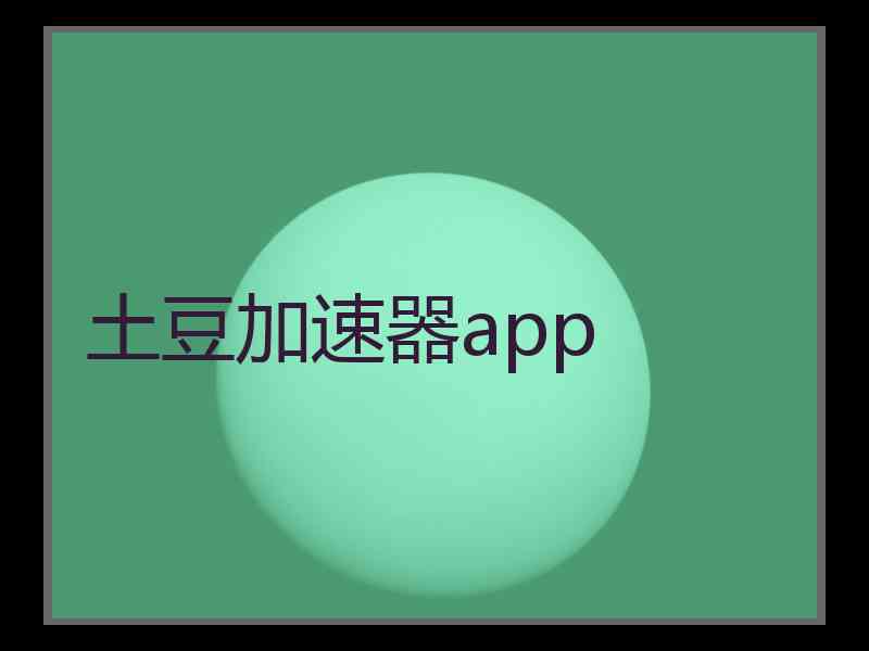 土豆加速器app