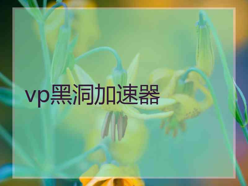 vp黑洞加速器