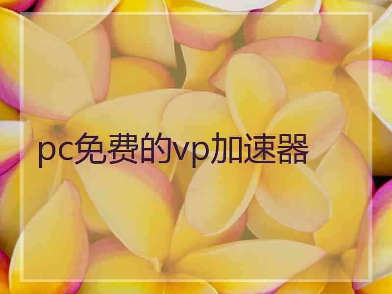 pc免费的vp加速器