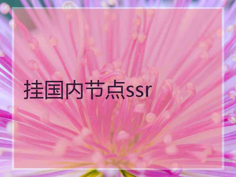 挂国内节点ssr