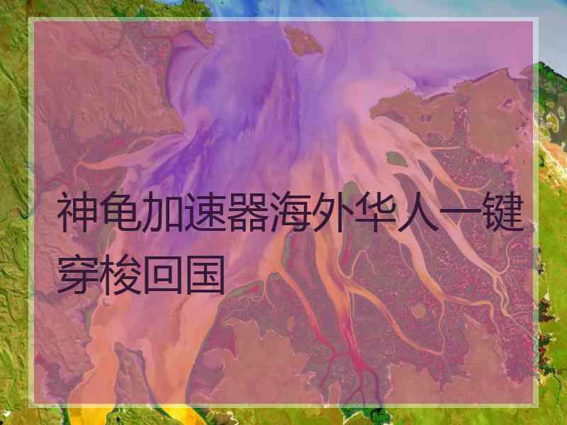 神龟加速器海外华人一键穿梭回国