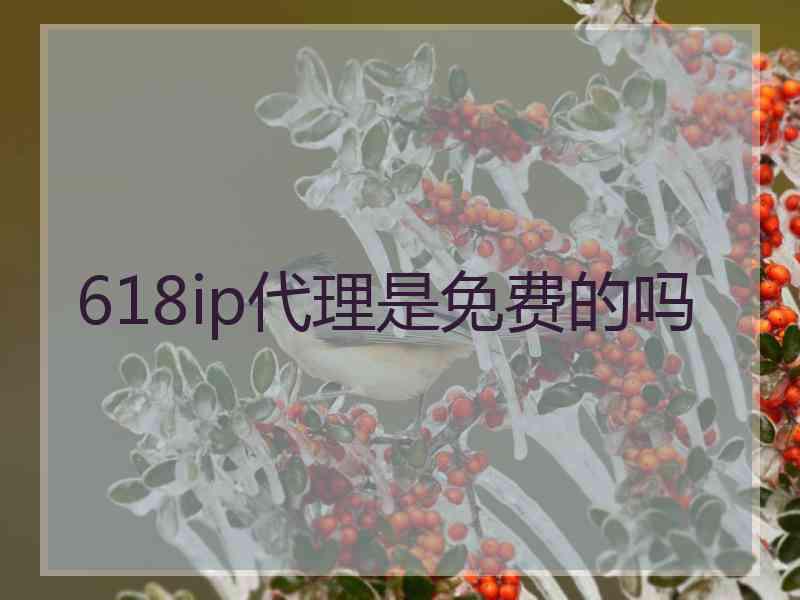 618ip代理是免费的吗