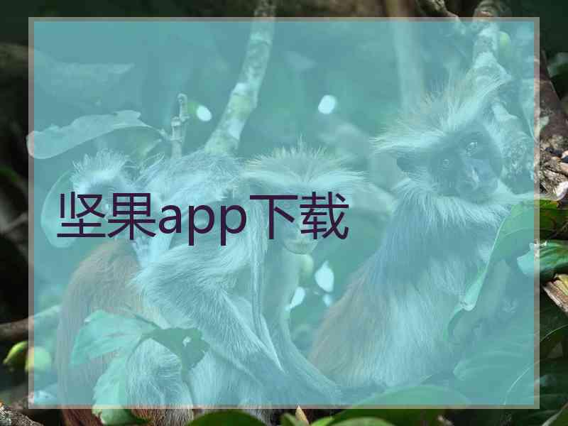 坚果app下载