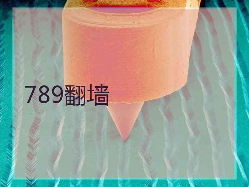 789翻墙