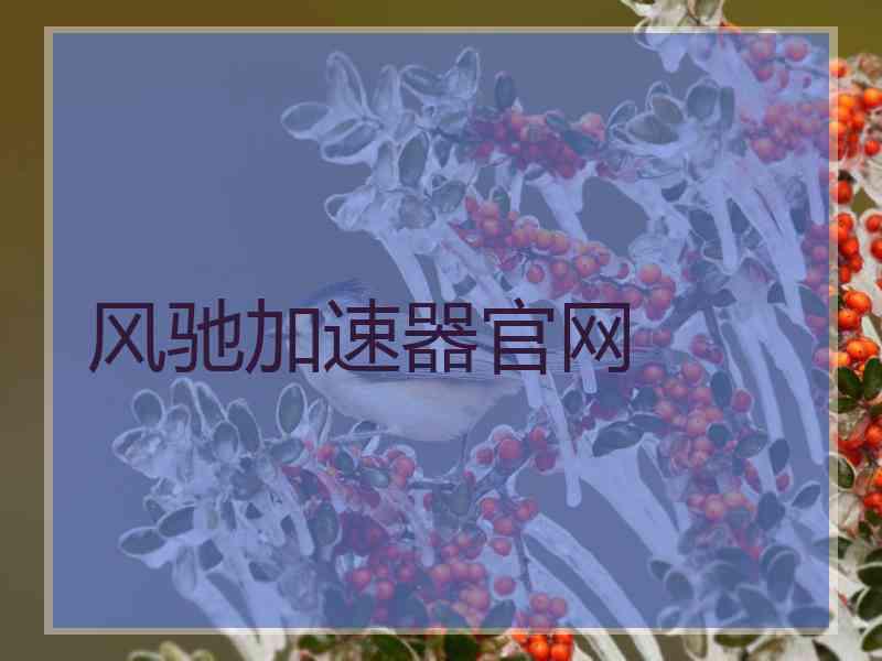 风驰加速器官网