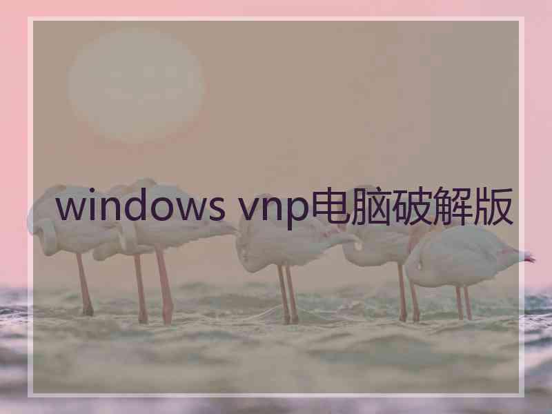 windows vnp电脑破解版