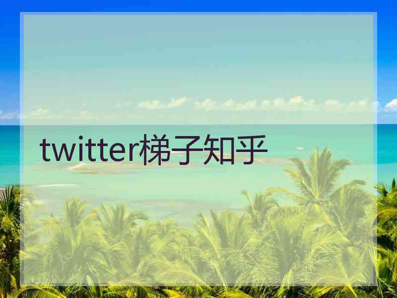 twitter梯子知乎