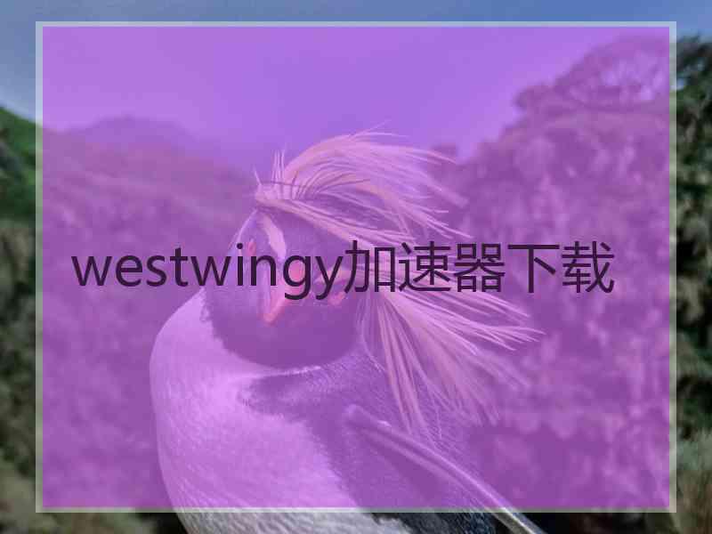 westwingy加速器下载