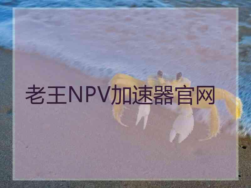 老王NPV加速器官网