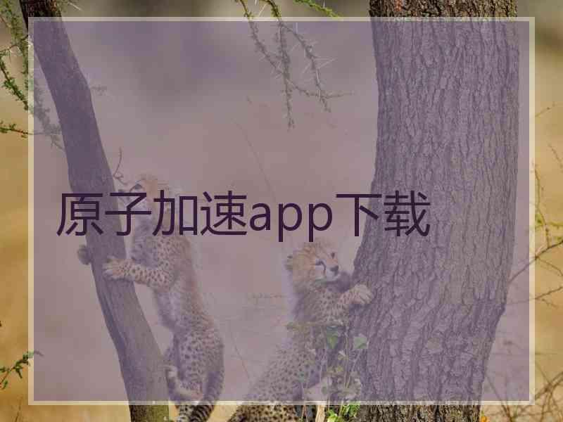 原子加速app下载