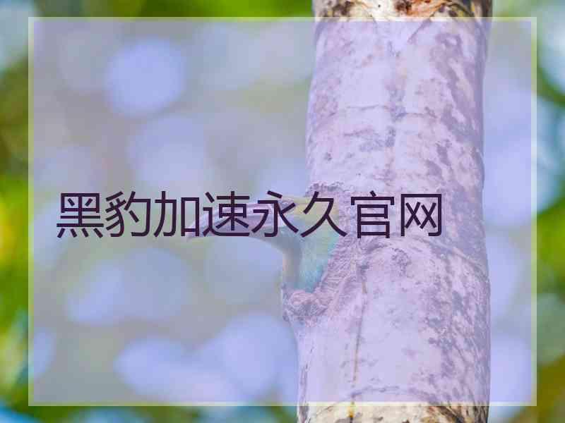 黑豹加速永久官网