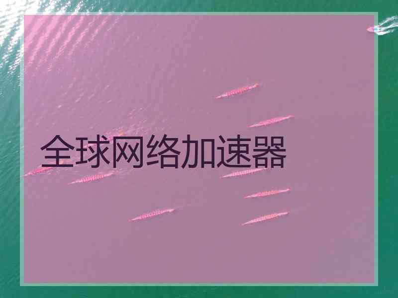 全球网络加速器