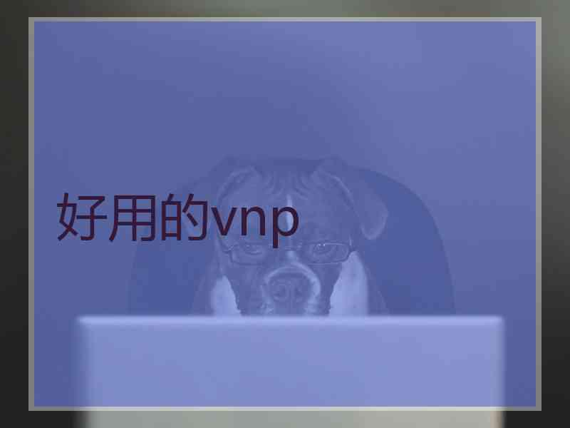 好用的vnp